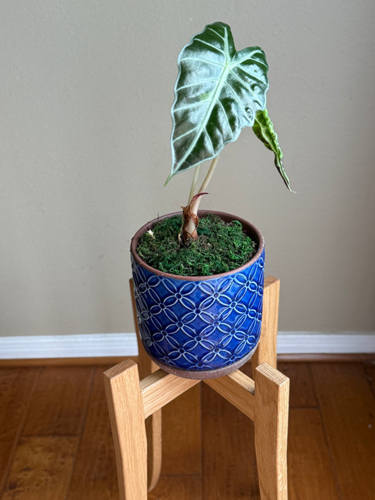 Alternate view of the handmade white oak plant stand