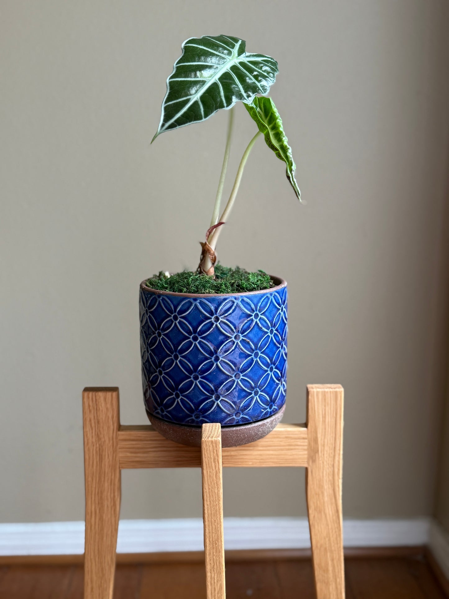 Upright Tall Plant Stand – Handmade in Solid White Oak (20" Height, Fits 8" Pots)