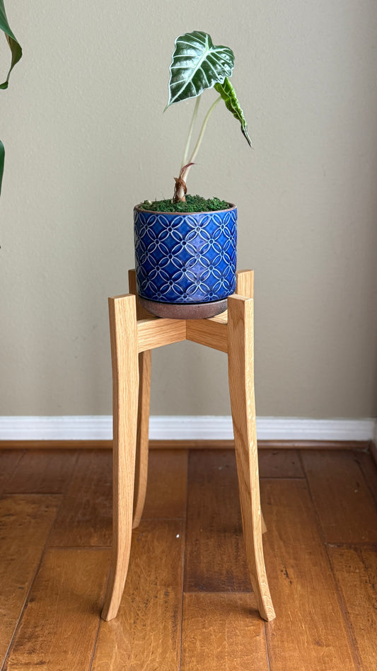 Upright Tall Plant Stand – Handmade in Solid White Oak (20" Height, Fits 8" Pots)