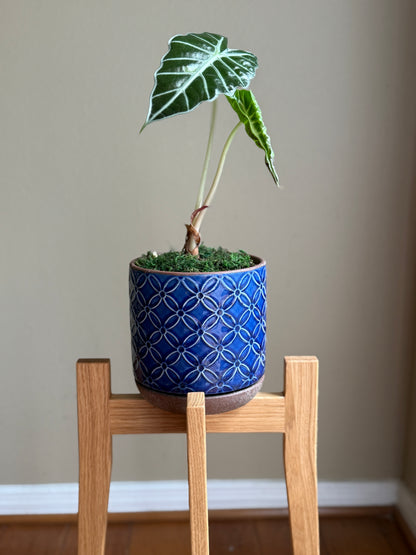 Handcrafted plant stand showing the natural white oak grain